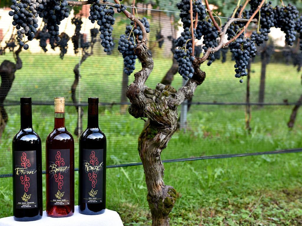 Bed And Breakfast Da Kaethy Agriturismo Grono Экстерьер фото